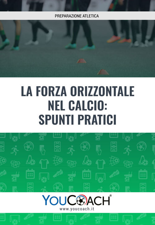 PDF allenamento forza orizzontale Falco