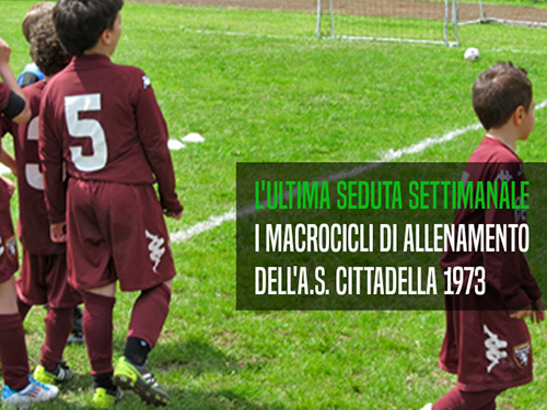 L'ultimo allenamento della settimana: analisi della terza seduta nei macrocicli dell'attività di base dell'A.S. Cittadella