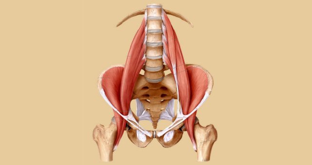 struttura bacini