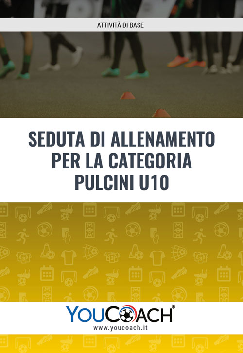 PDF seduta di allenamento per i pulcini cover