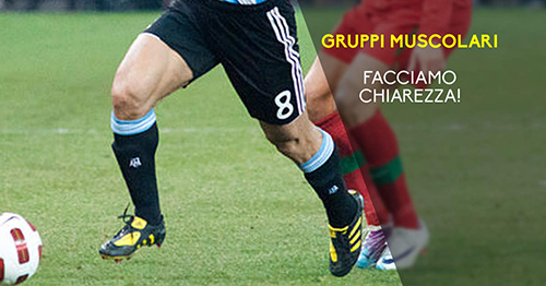 Gruppi muscolari: facciamo un po' di chiarezza