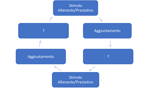 Training Load grafico allenamento