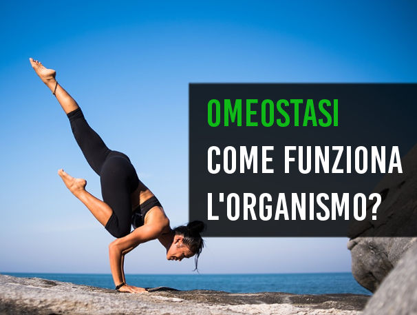 Come funziona l'organismo? Omeostasi, allenamento, supercompensazione