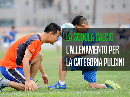 La proposta didattica nella scuola calcio (Pulcini)