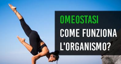 Omeostasi allenamento supercompensazione