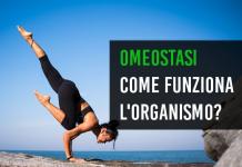 Omeostasi allenamento supercompensazione