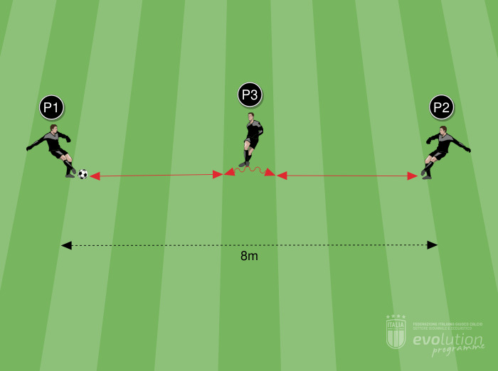 ANALITICO - Controllo e trasmissione in linea